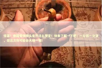 惊喜！泰国爱情降头竟然这么便宜！快来了解一下吧！一分钱一分货，但这次你可能会大赚一笔！ 泰国情降法事